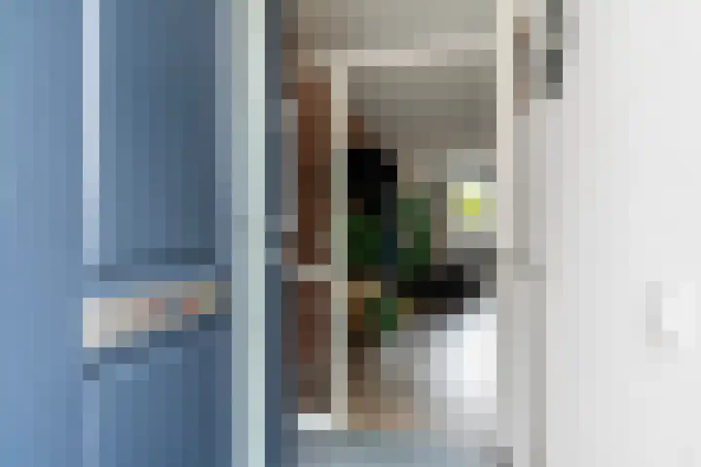 Liauckamastate 24 Leeuwarden thumbnail 10