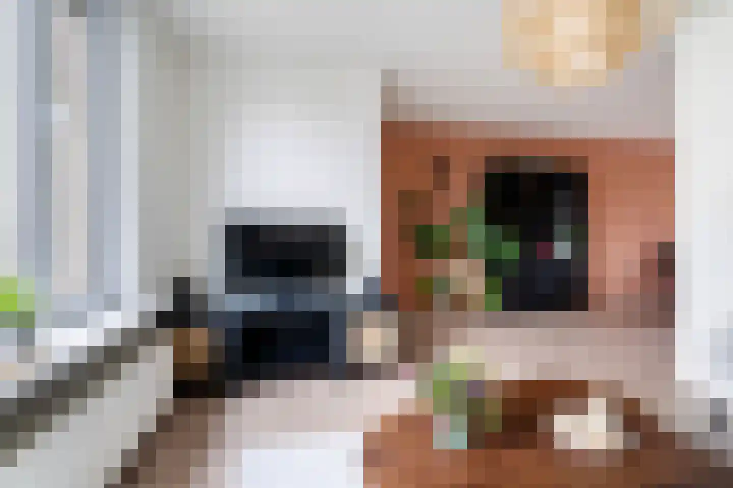 Liauckamastate 24 Leeuwarden thumbnail 16
