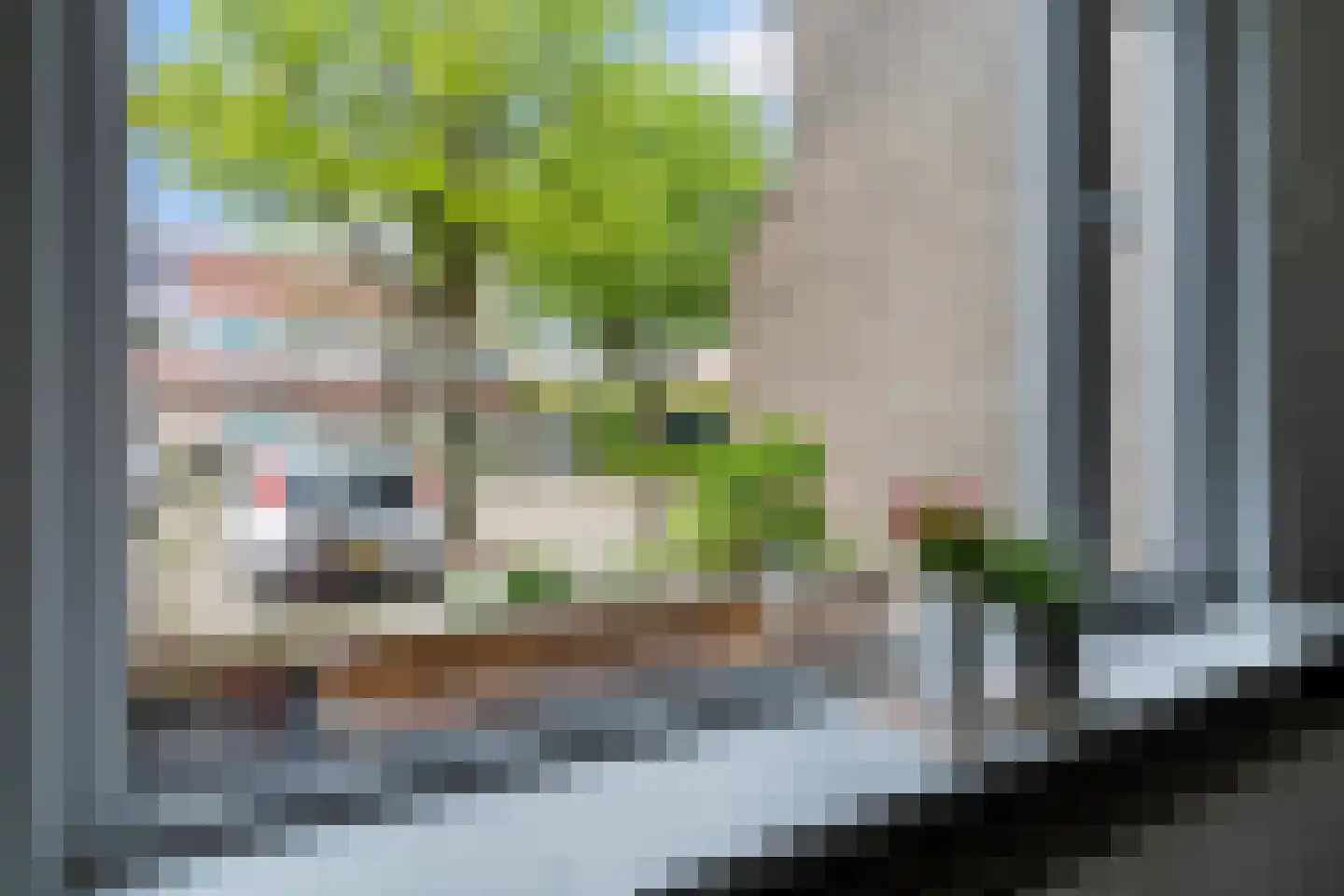 Liauckamastate 24 Leeuwarden thumbnail 22