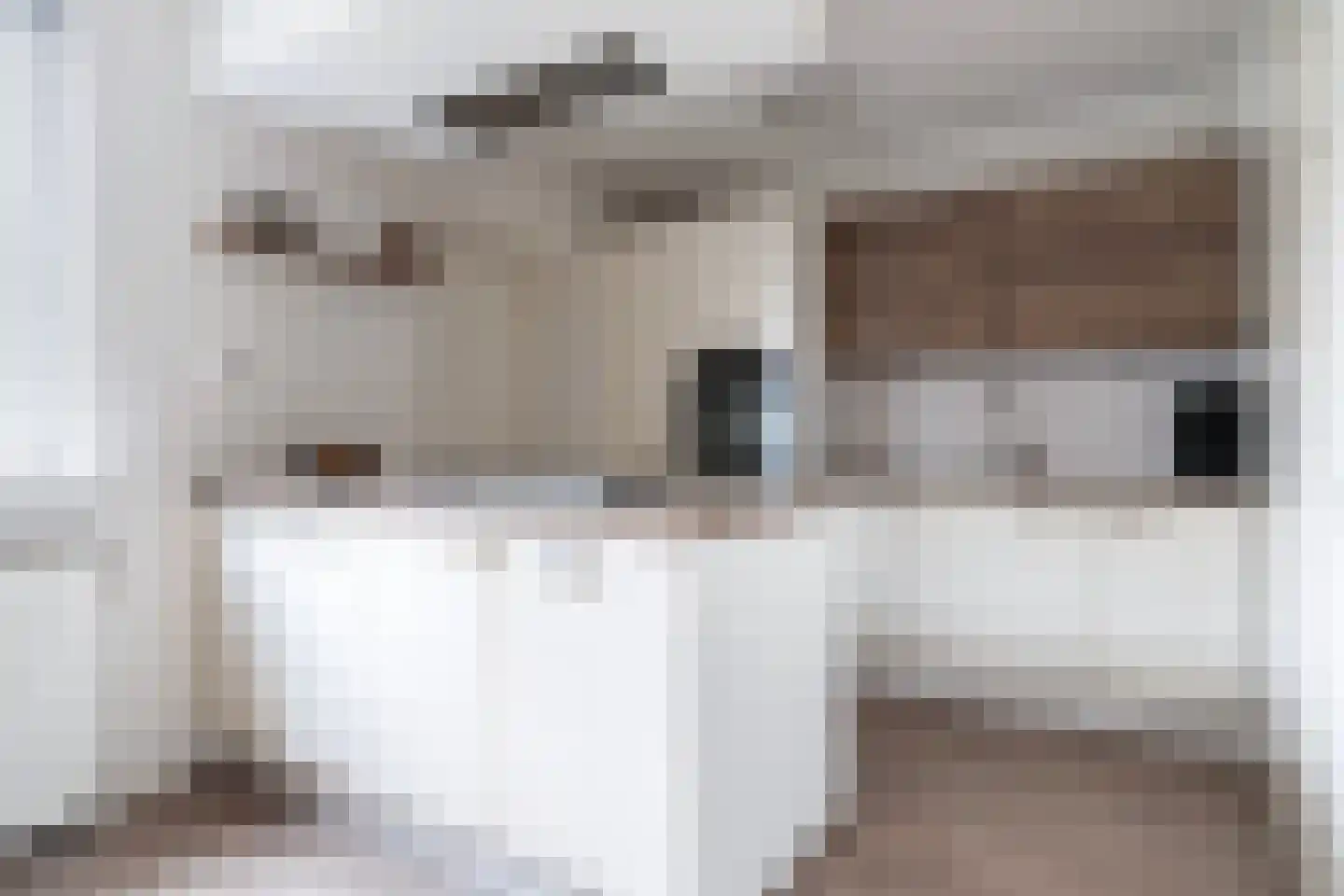 Liauckamastate 24 Leeuwarden thumbnail 23
