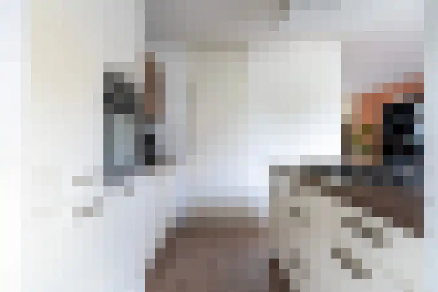 Liauckamastate 24 Leeuwarden thumbnail 24
