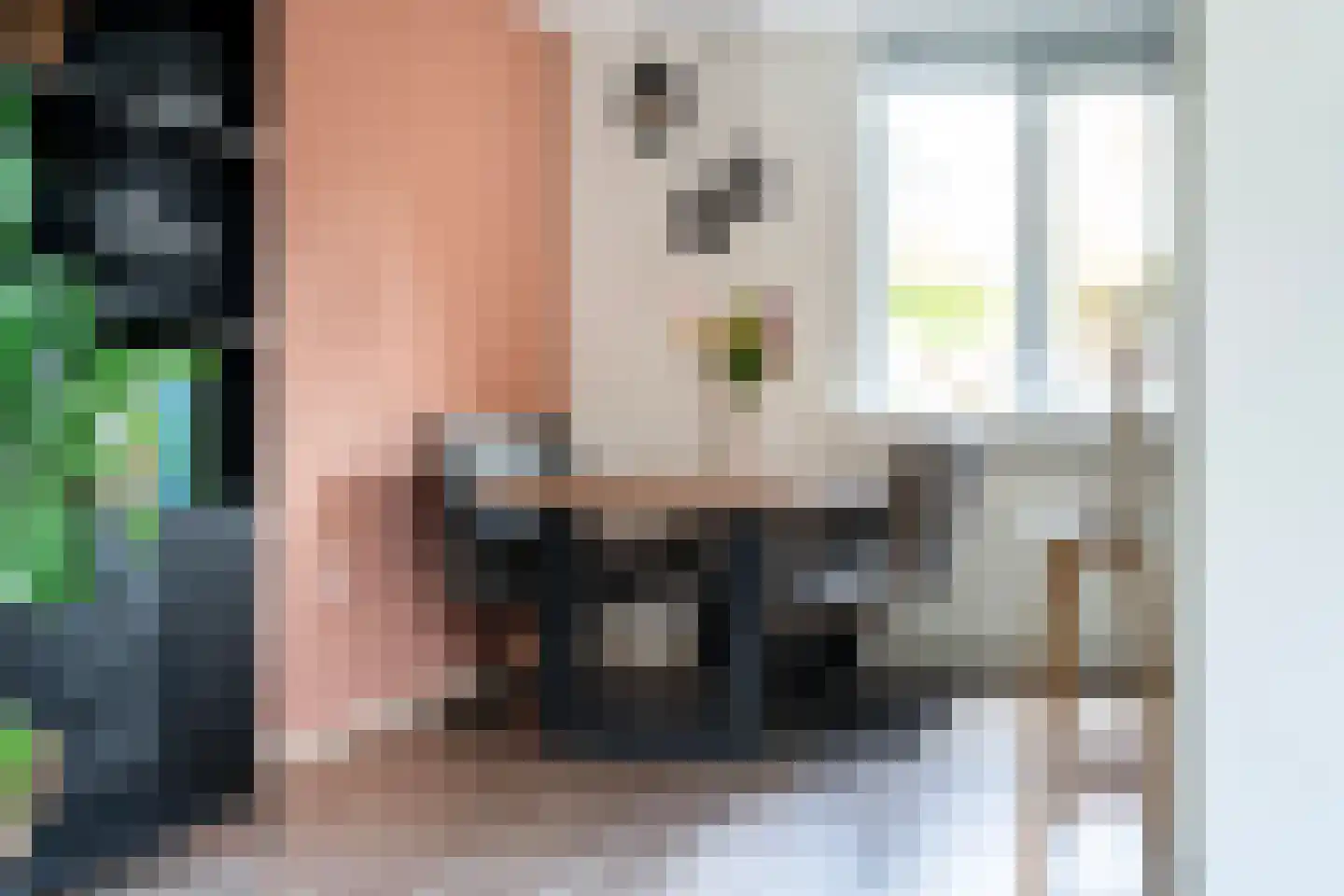 Liauckamastate 24 Leeuwarden thumbnail 26