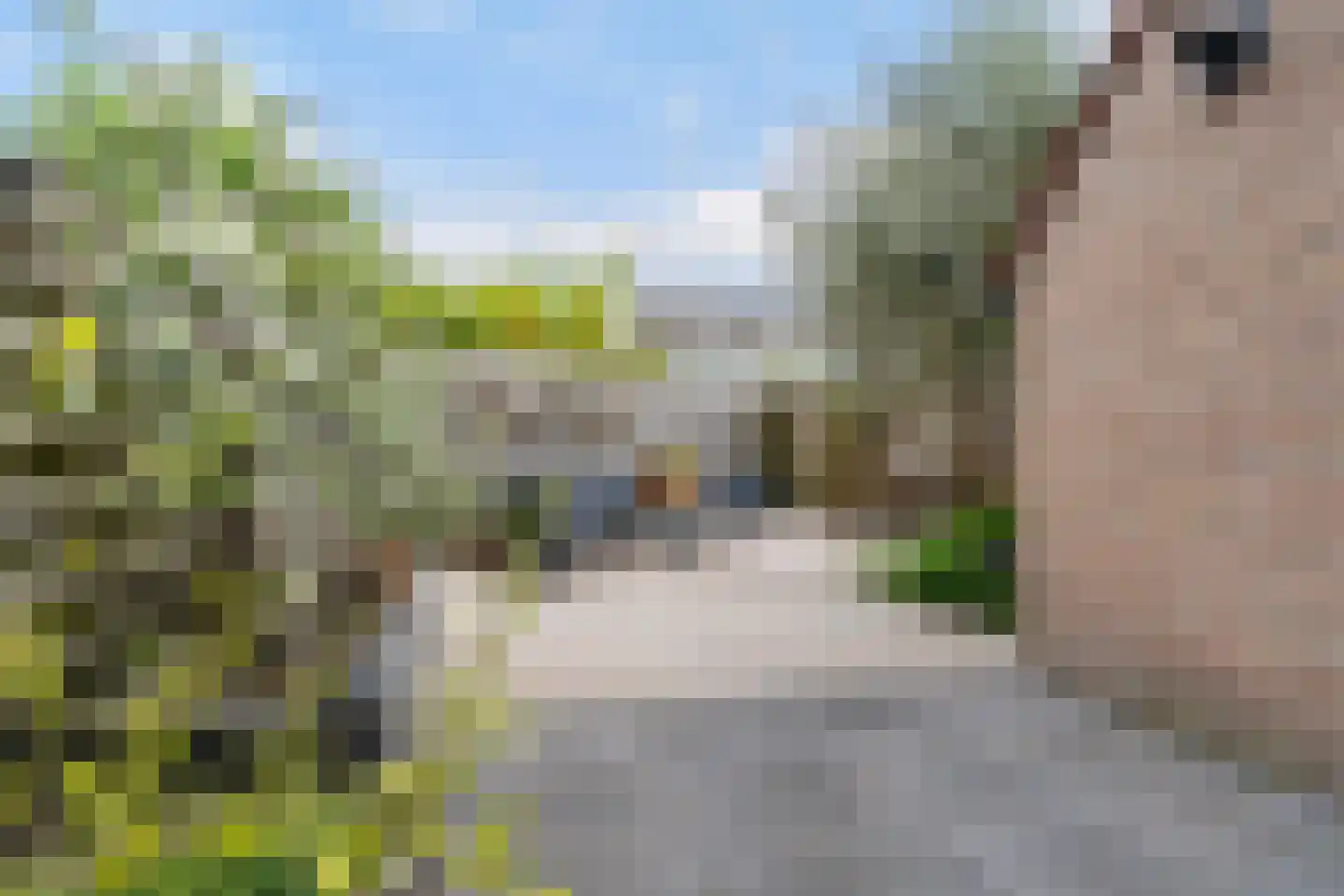 Liauckamastate 24 Leeuwarden thumbnail 30