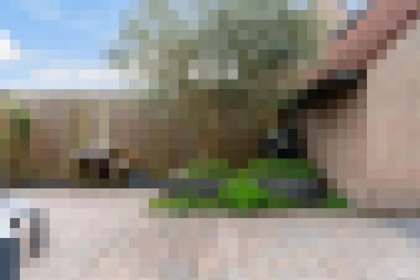 Liauckamastate 24 Leeuwarden thumbnail 36