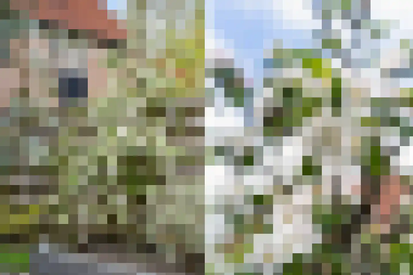 Liauckamastate 24 Leeuwarden thumbnail 37
