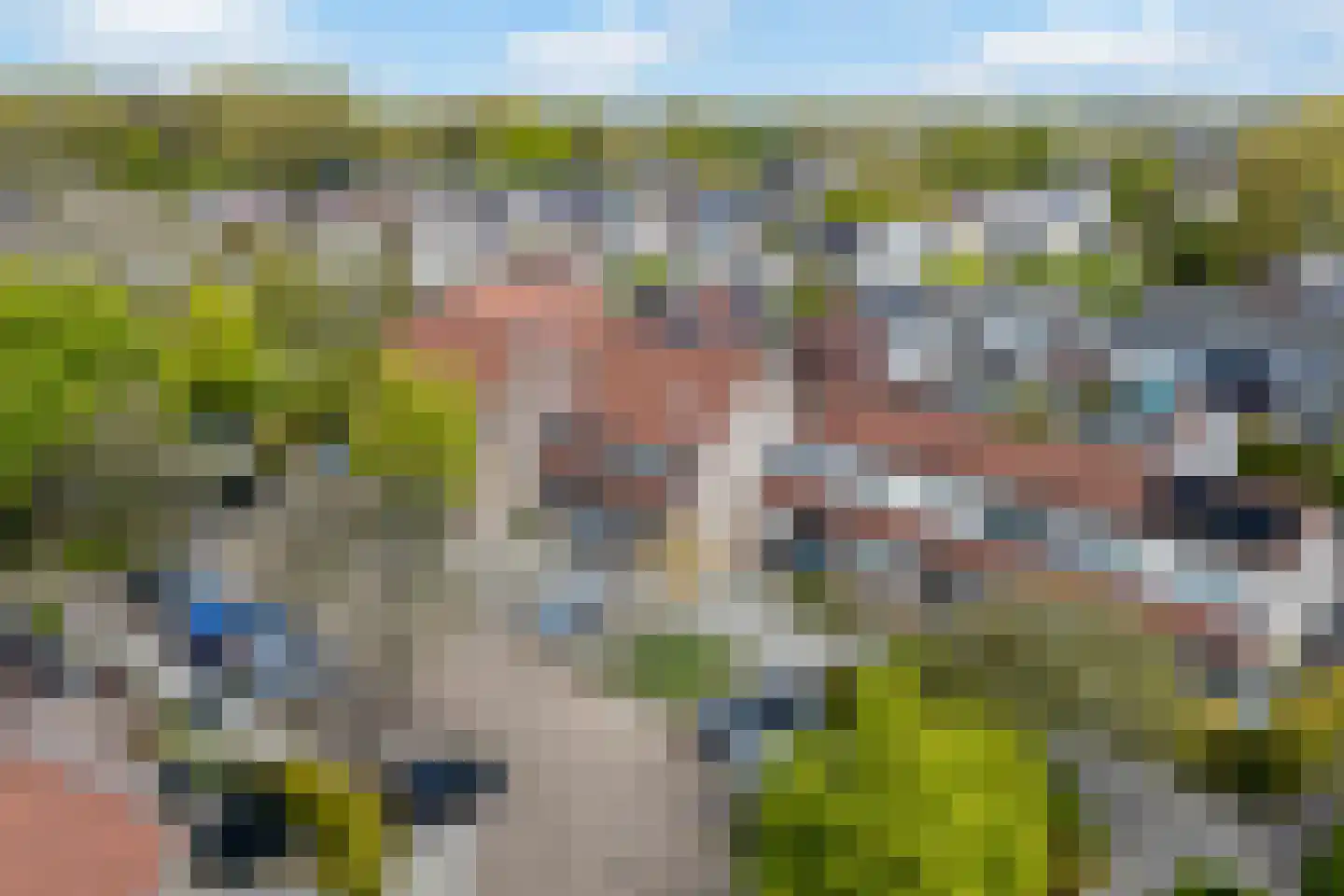 Liauckamastate 24 Leeuwarden thumbnail 59