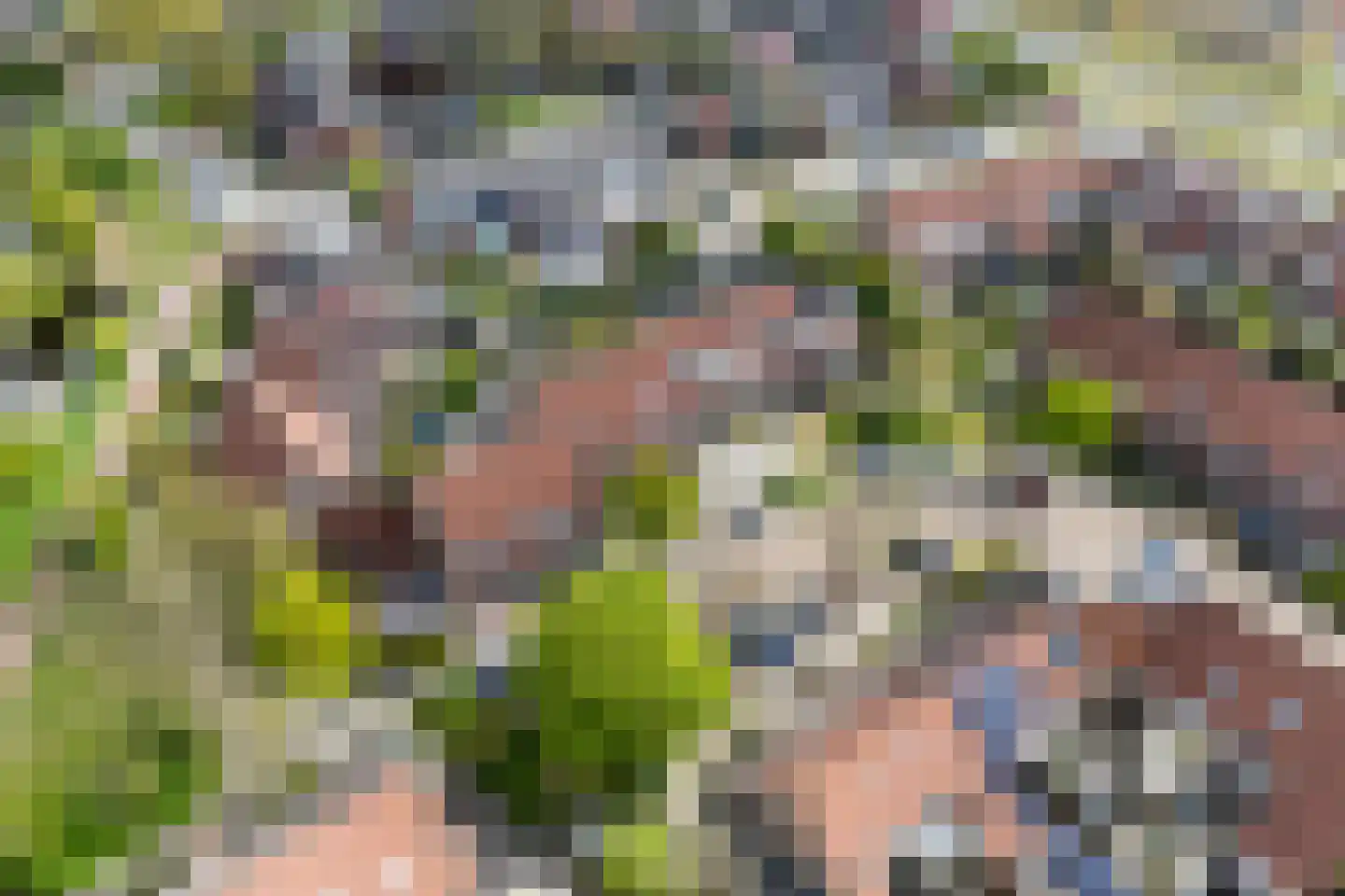 Liauckamastate 24 Leeuwarden thumbnail 61