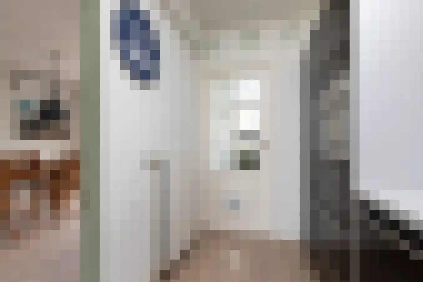 Liaukemastraat 55 Sneek thumbnail 10