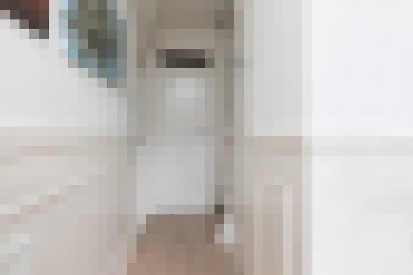 Liaukemastraat 55 Sneek thumbnail 13