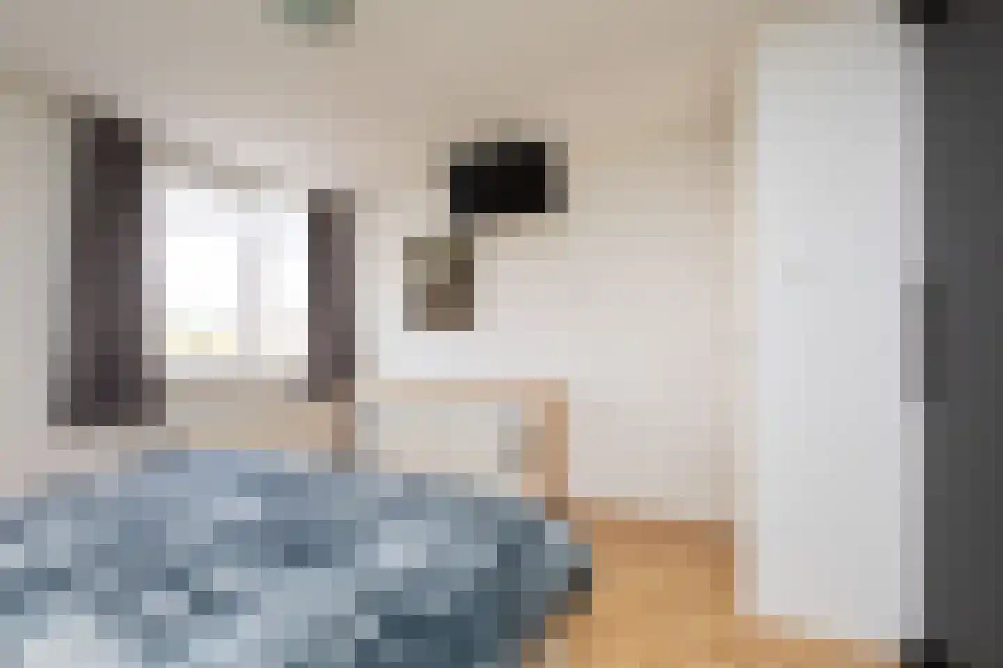 Liaukemastraat 55 Sneek thumbnail 18