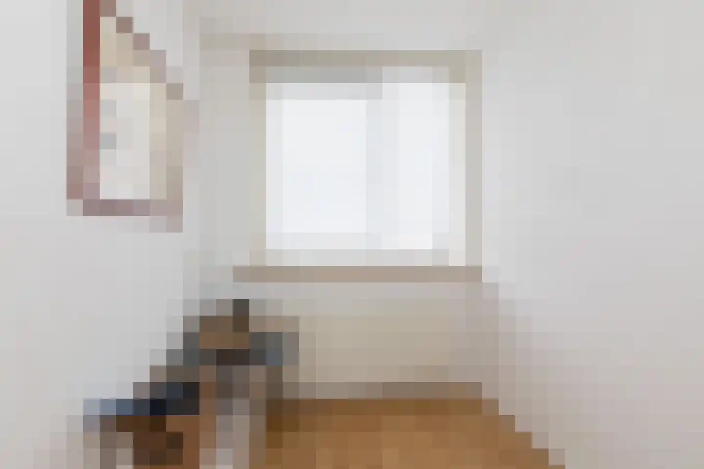 Liaukemastraat 55 Sneek thumbnail 19