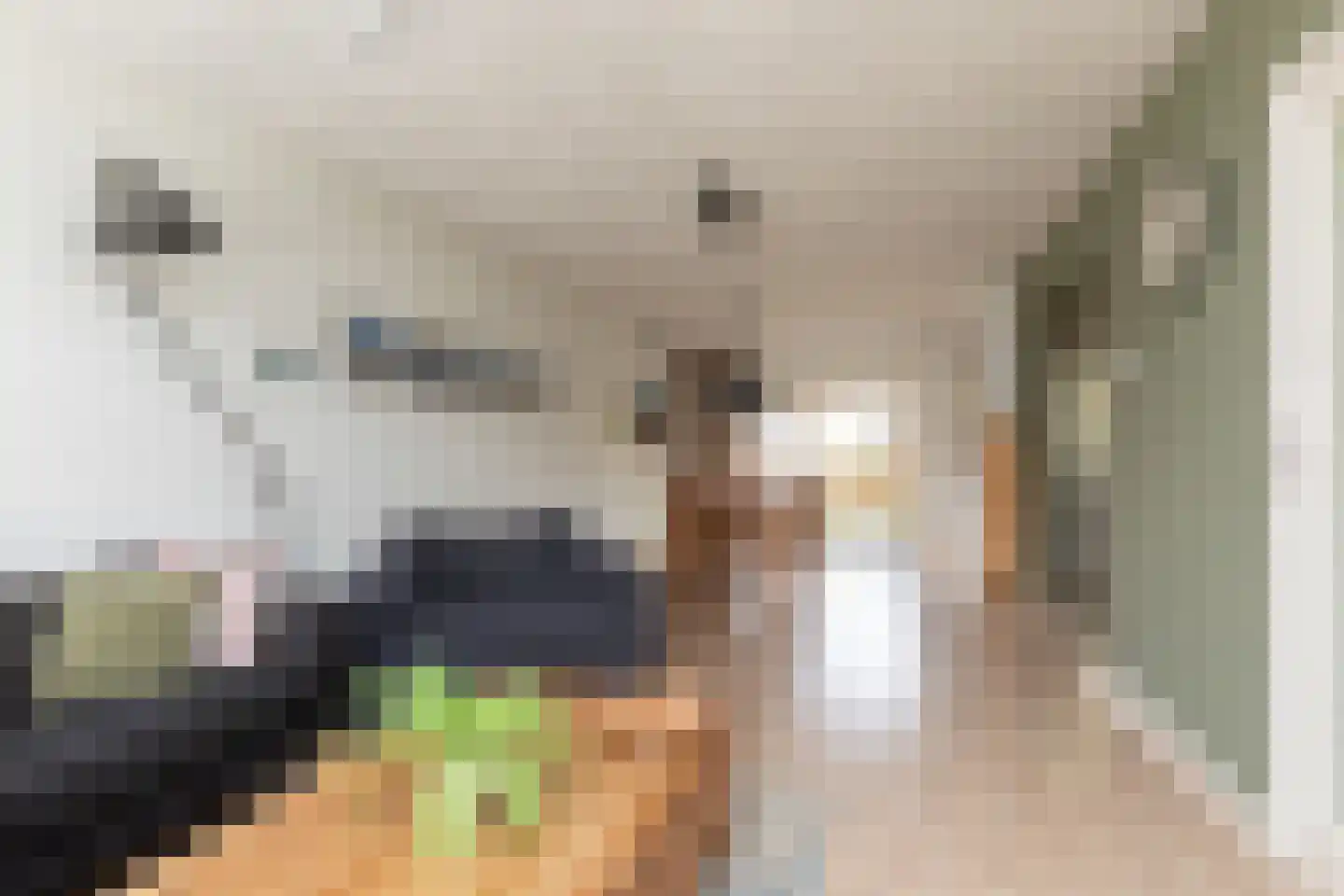 Liaukemastraat 55 Sneek thumbnail 4