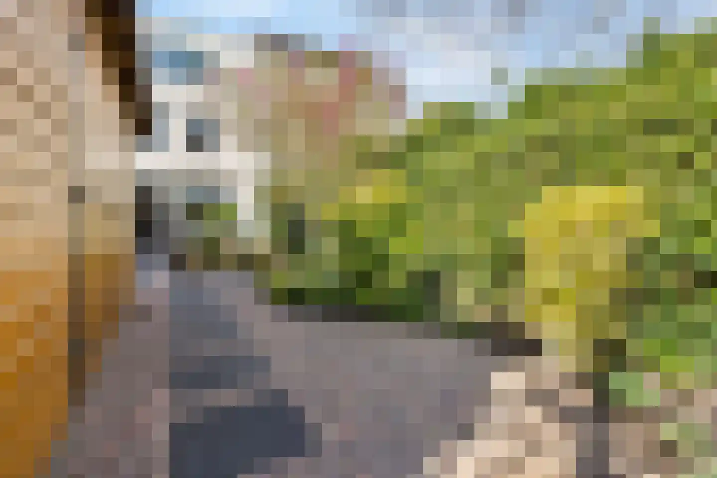 Libanonstraat 19 Delft thumbnail 38