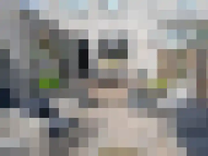 Libanonstraat 31 Delft thumbnail 13