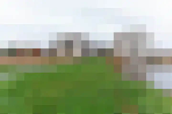 Libanonstraat 31 Delft thumbnail 38