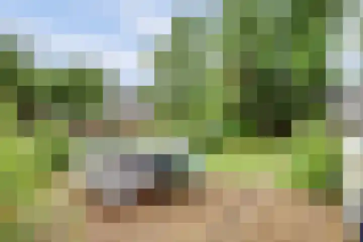 Libanonweg 100 Rotterdam thumbnail 22