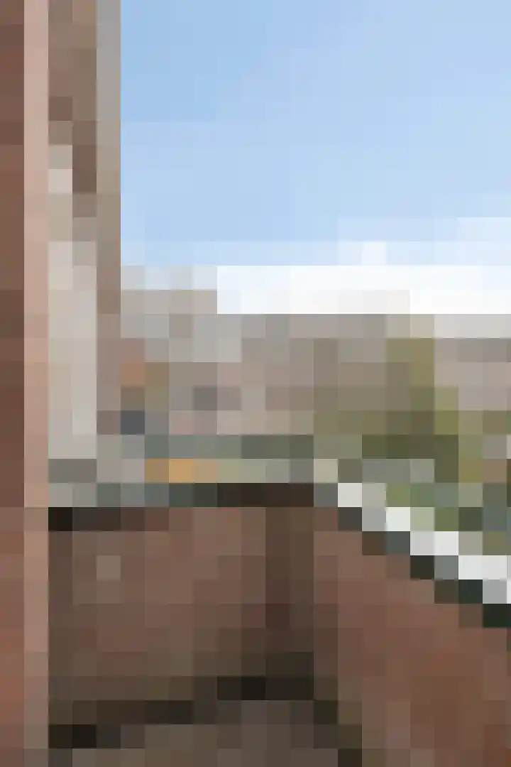 Libanonweg 12 C Rotterdam thumbnail 20