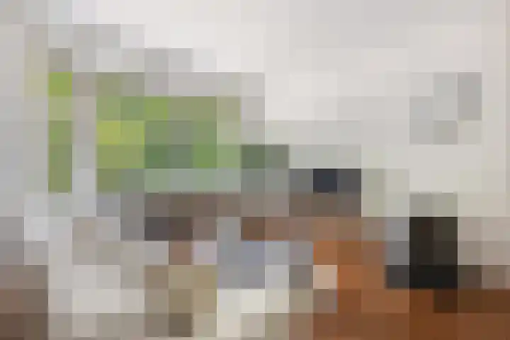 Libanonweg 12 C Rotterdam thumbnail 4