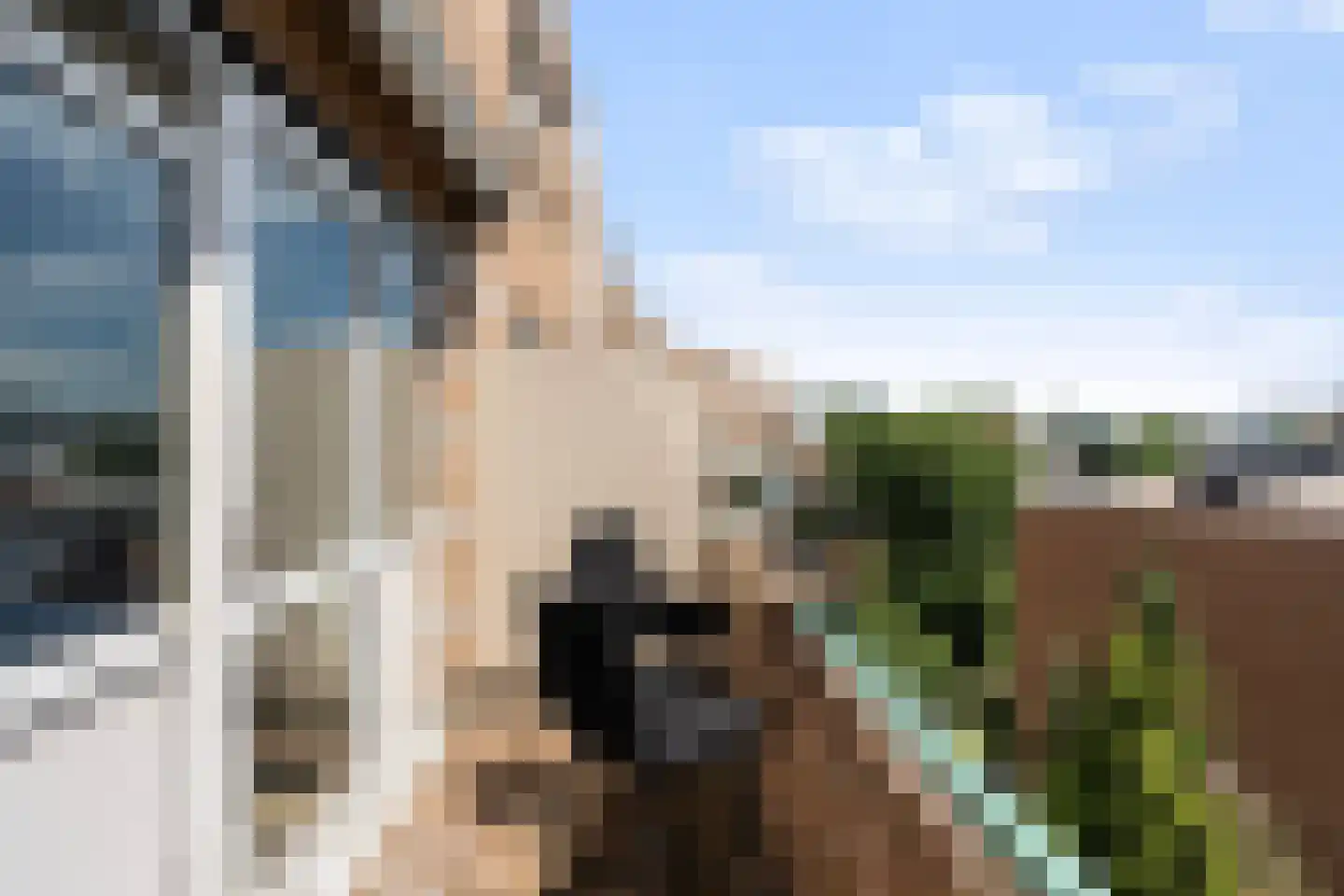 Libanonweg 120 Rotterdam thumbnail 18
