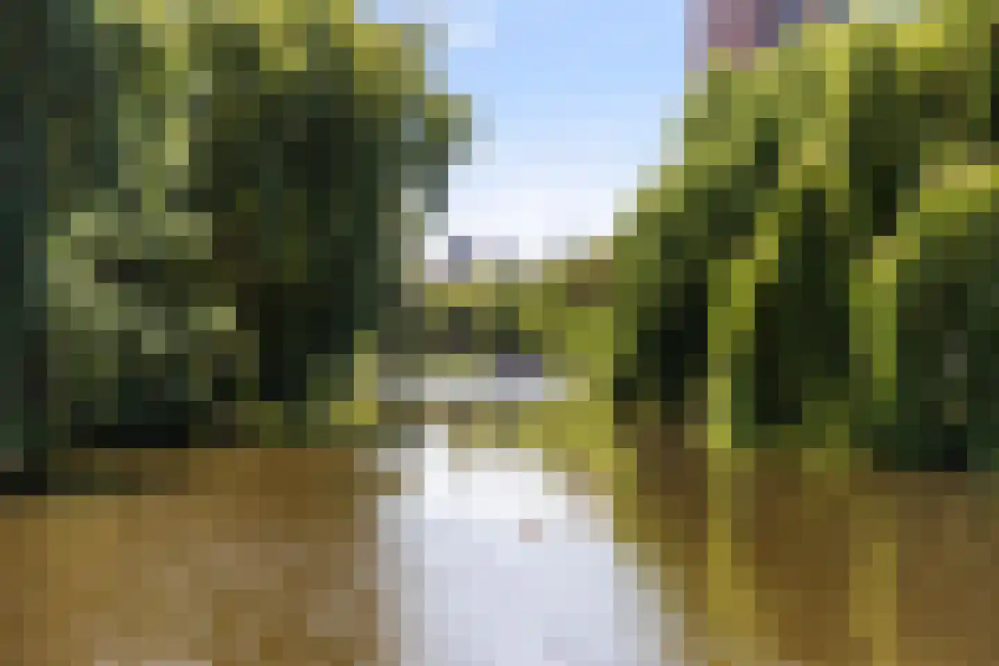 Libanonweg 120 Rotterdam thumbnail 24