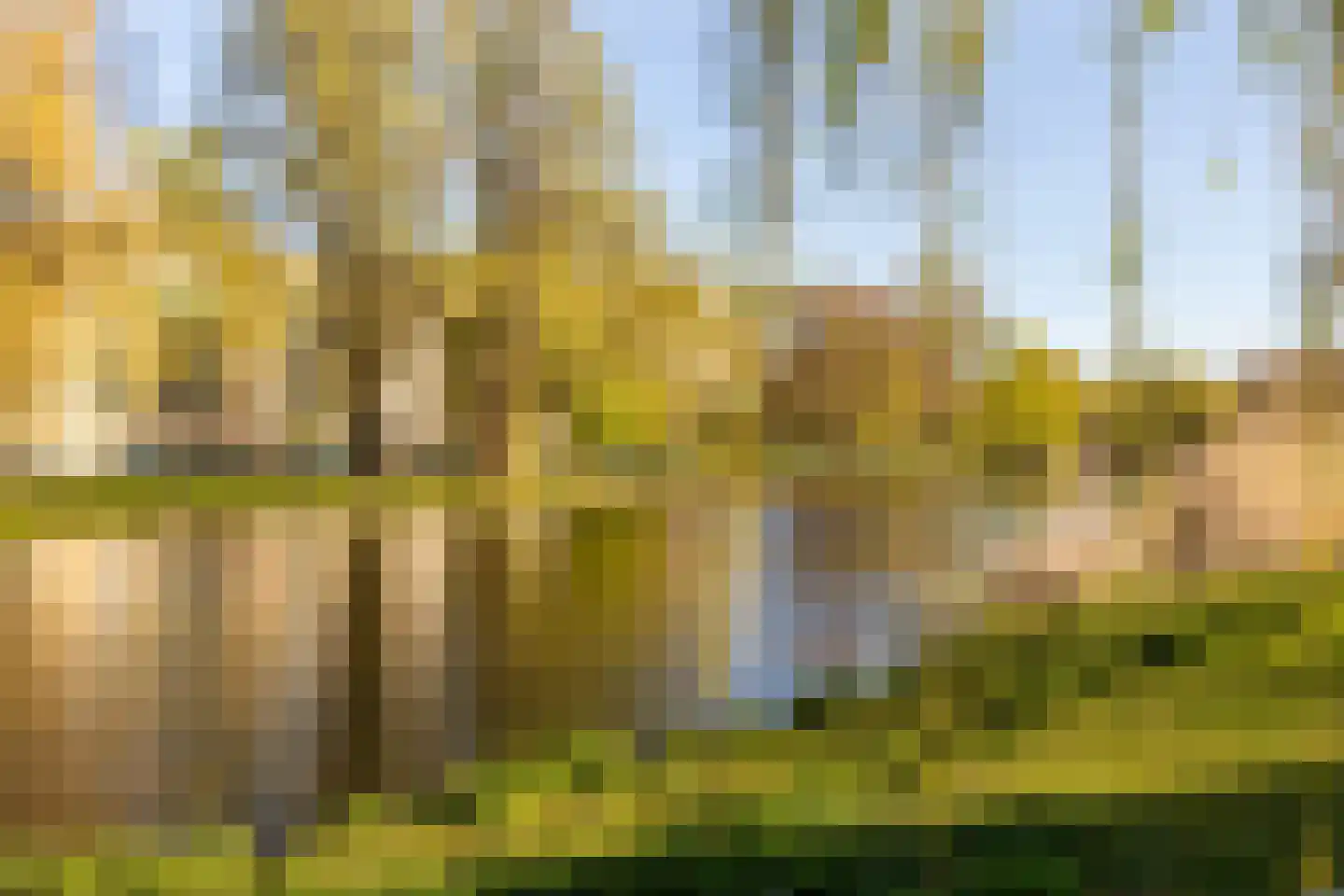 Libanonweg 28 A Rotterdam thumbnail 6