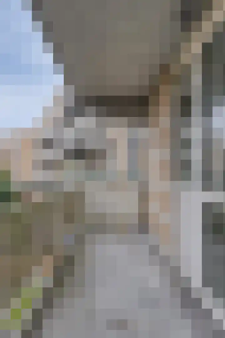 Libanonweg 68 Rotterdam thumbnail 18