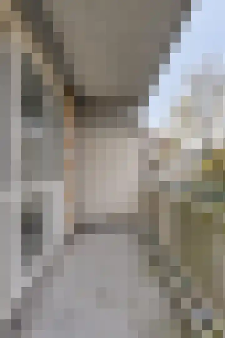 Libanonweg 68 Rotterdam thumbnail 19