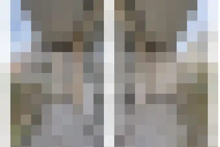 Libanonweg 68 Rotterdam thumbnail 5