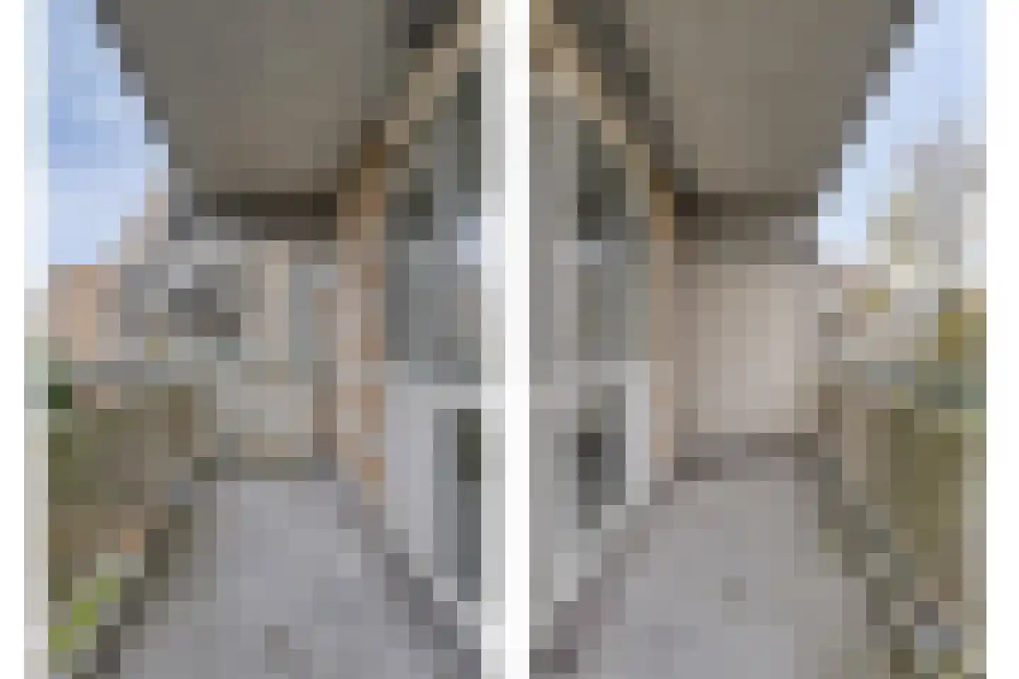 Libanonweg 68 Rotterdam thumbnail 5