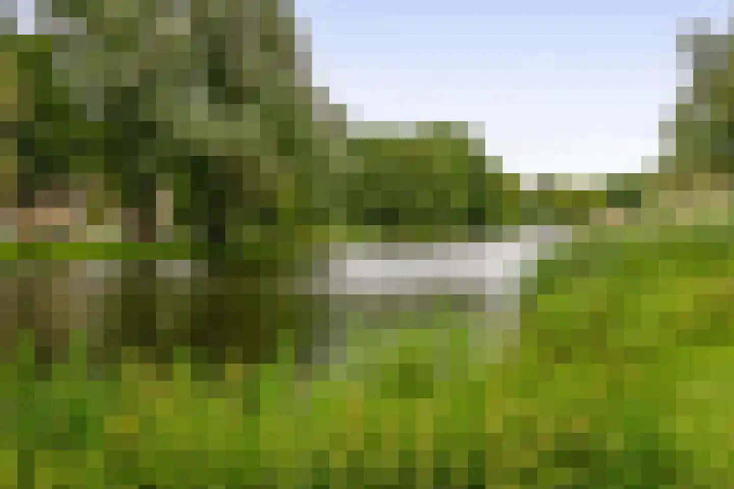 Libanonweg 76 Rotterdam thumbnail 4