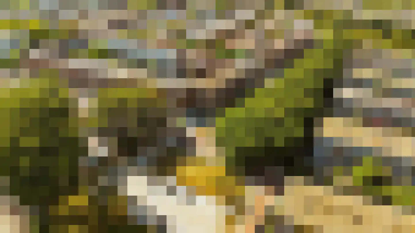 Libanonweg 8 C Rotterdam thumbnail 38