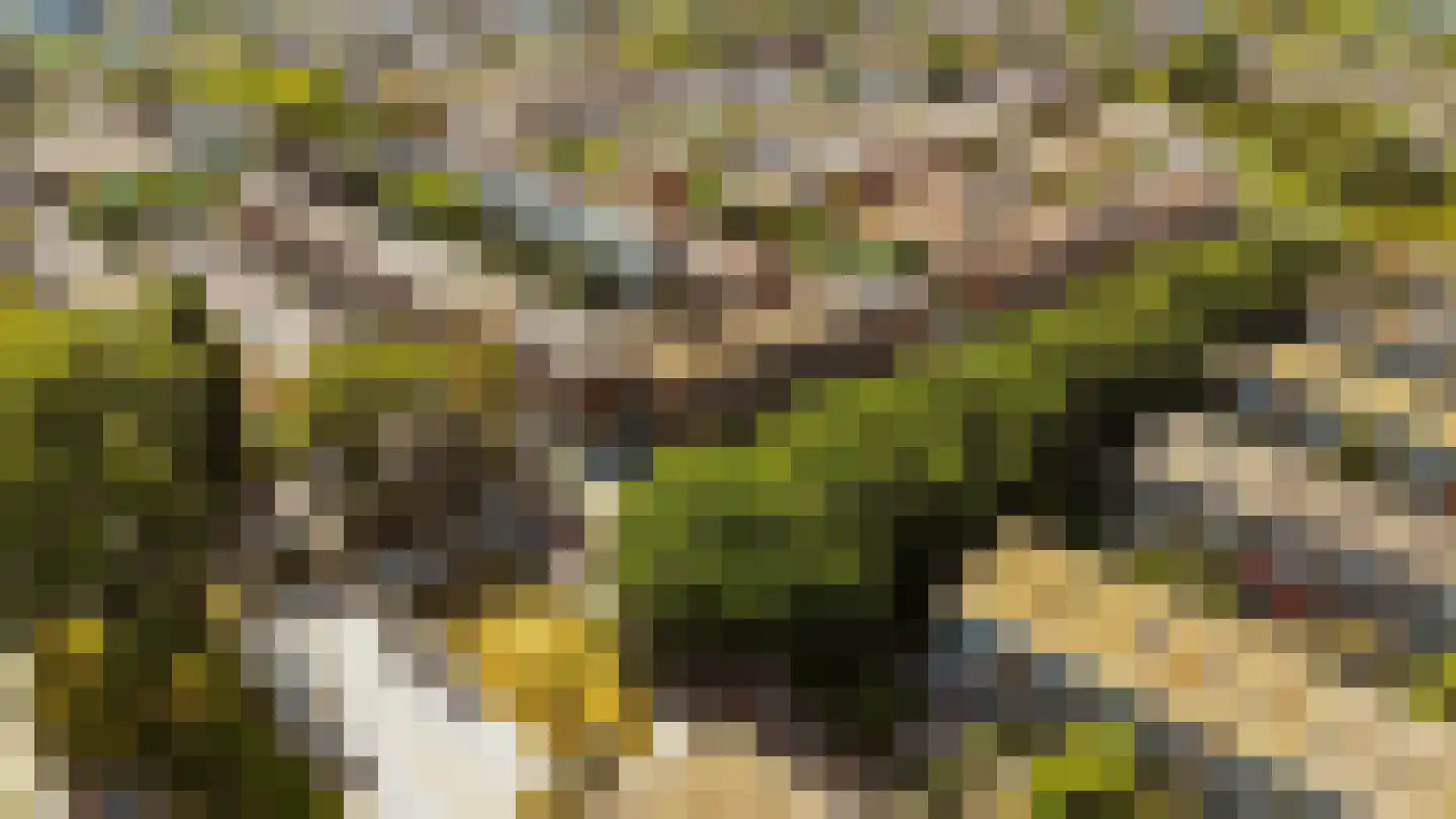 Libanonweg 8 C Rotterdam thumbnail 39