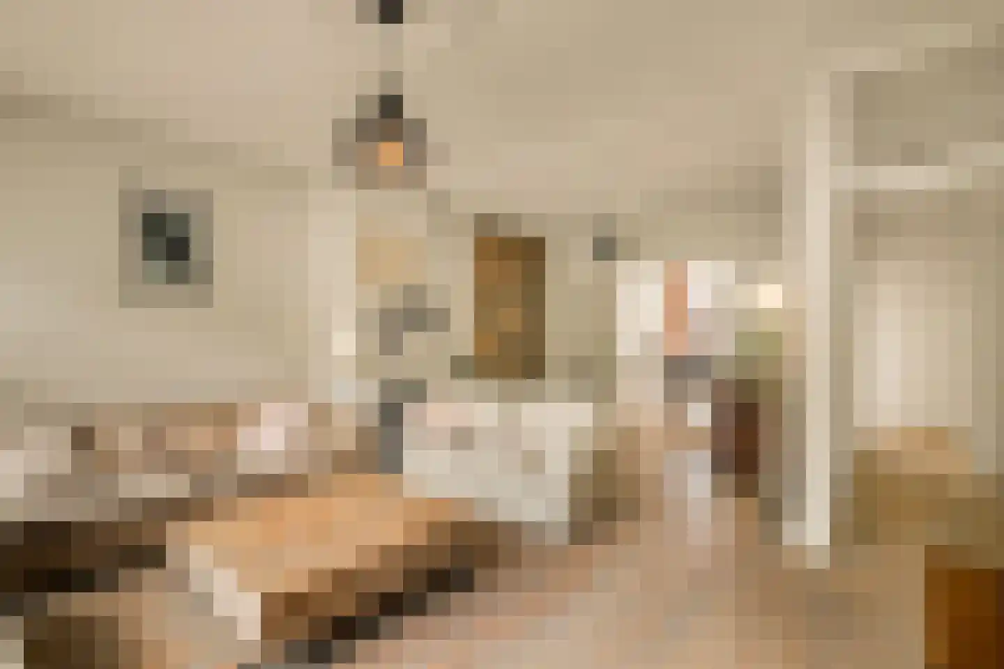 Libanonweg 8 C Rotterdam thumbnail 8