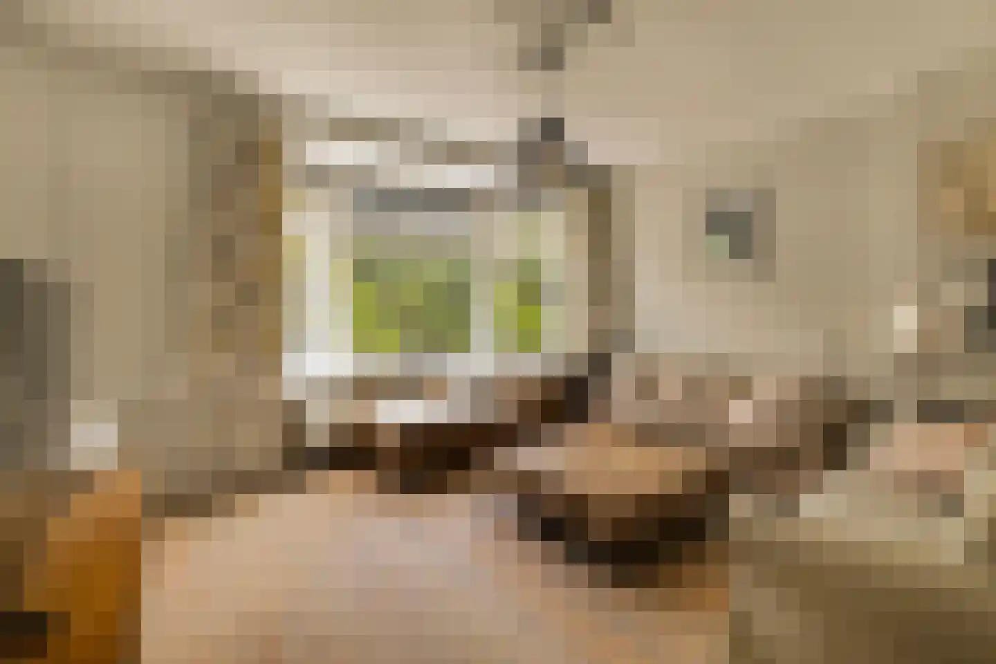 Libanonweg 8 C Rotterdam thumbnail 9