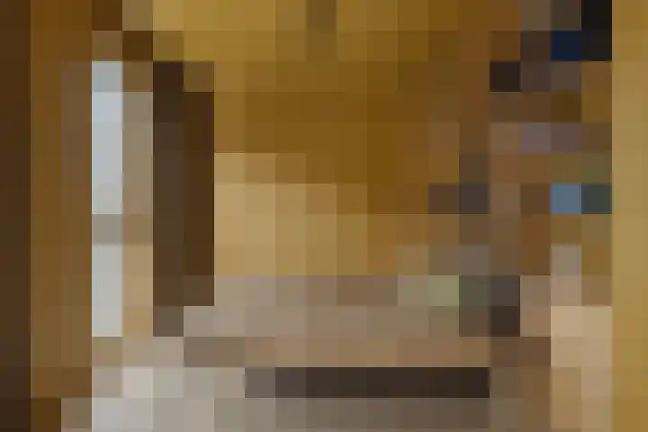 Libau-eiland 103 Amsterdam thumbnail 20