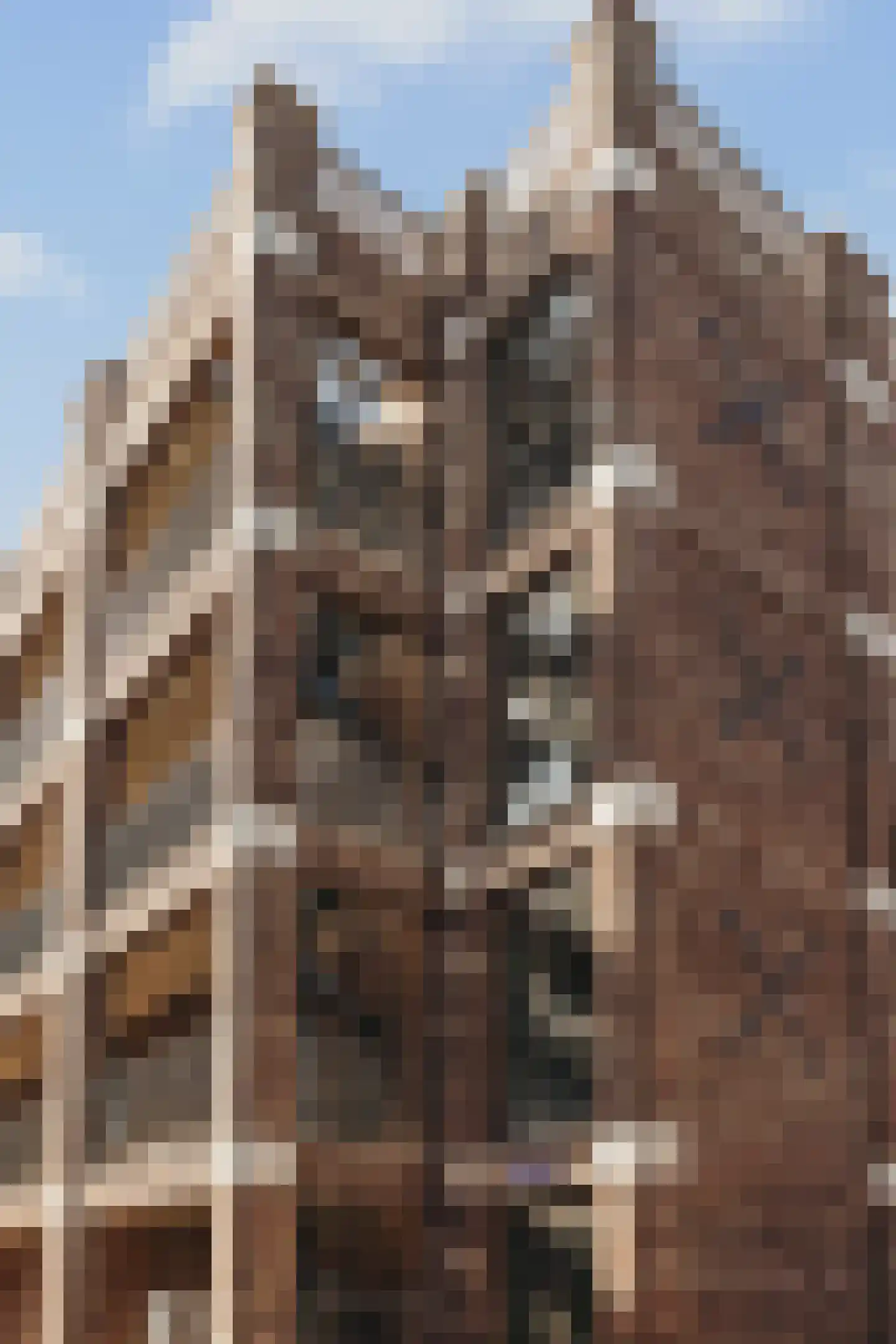 Libau-eiland 27 Amsterdam thumbnail 25