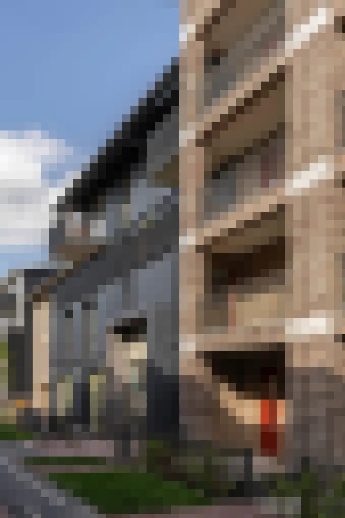 Libau-eiland 29 Amsterdam thumbnail 16