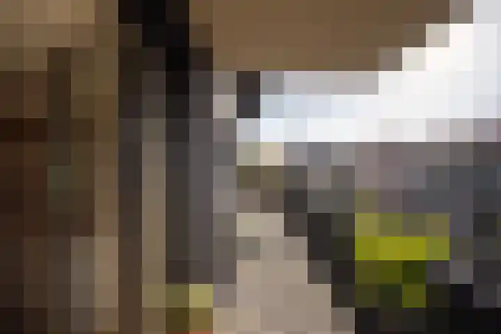 Libau-eiland 80 Amsterdam thumbnail 15