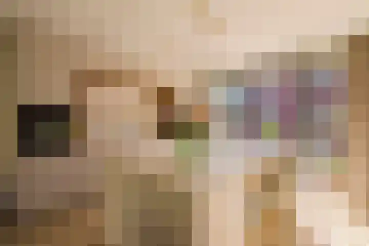 Libau-eiland 80 Amsterdam foto 2