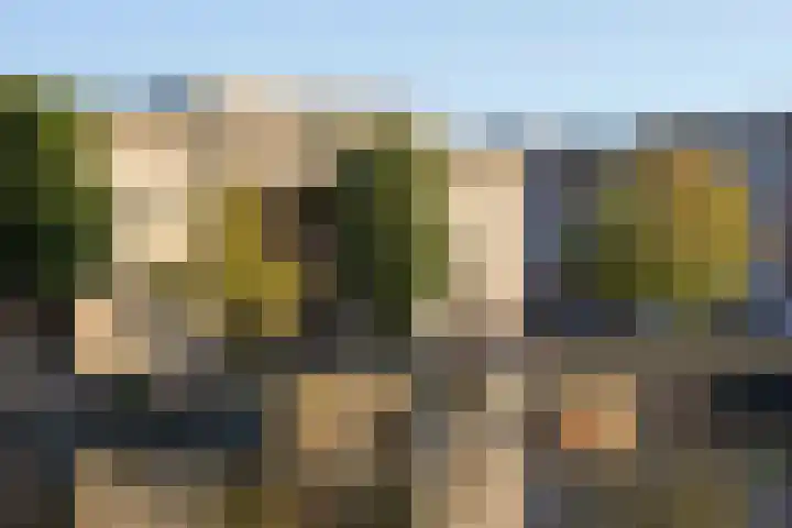 Libau-eiland 80 Amsterdam thumbnail 32