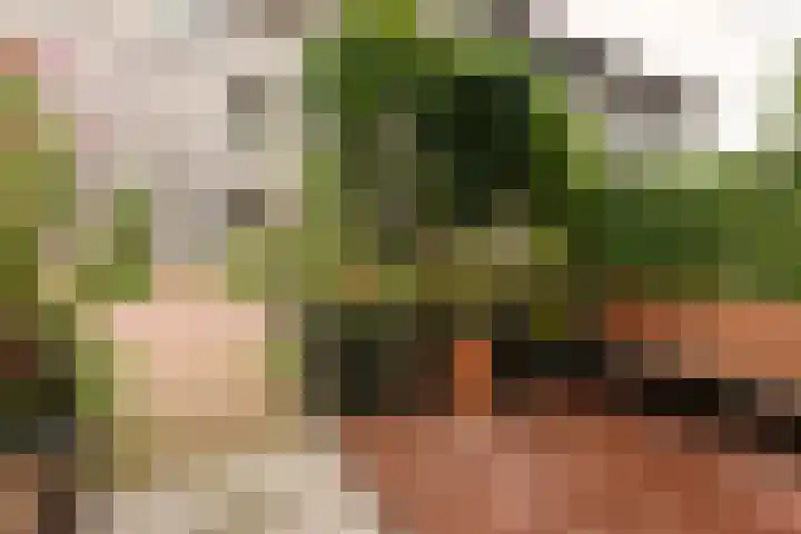 Libau-eiland 96 Amsterdam foto 3