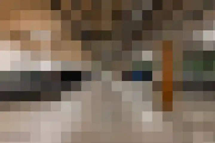 Libau-eiland 96 Amsterdam thumbnail 31