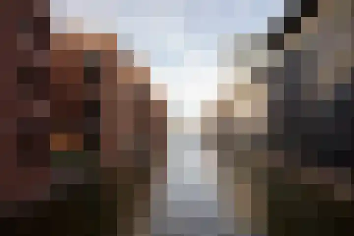 Libau-eiland 96 Amsterdam thumbnail 35