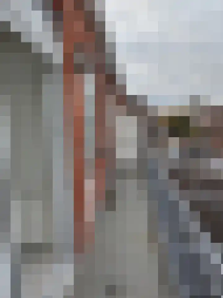 Libau-eiland 96 Amsterdam thumbnail 37