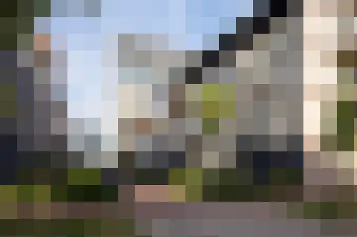 Libau-eiland 96 Amsterdam thumbnail 5