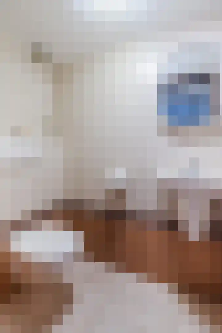 Libel 12 Leusden thumbnail 10