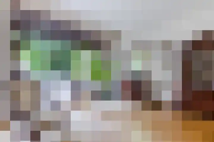 Libel 12 Leusden thumbnail 11