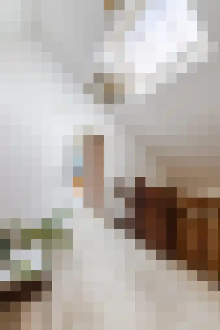 Libel 12 Leusden thumbnail 24