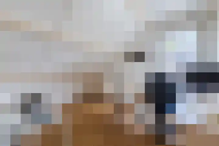 Libel 12 Leusden thumbnail 25