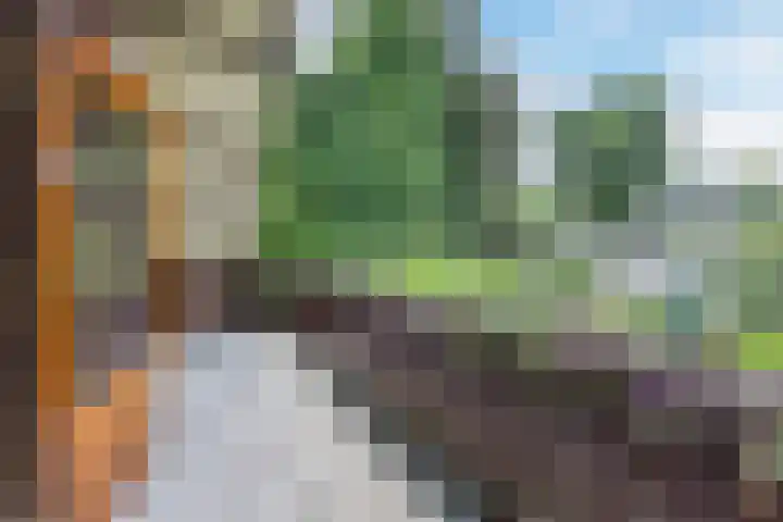 Libel 12 Leusden thumbnail 36